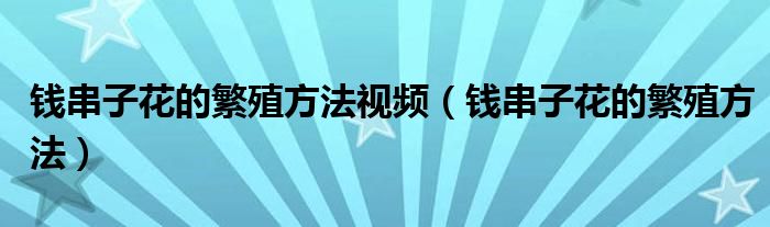 钱串子花的繁殖方法视频（钱串子花的繁殖方法）