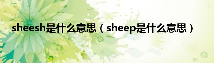 sheesh是什么意思（sheep是什么意思）