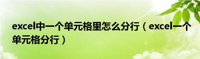 excel中一个单元格里怎么分行（excel一个单元格分行）