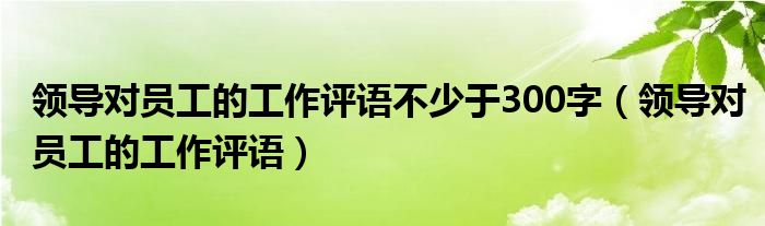 领导对员工的工作评语不少于300字（领导对员工的工作评语）