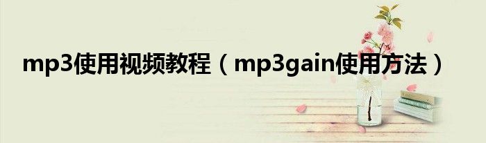 mp3使用视频教程（mp3gain使用方法）