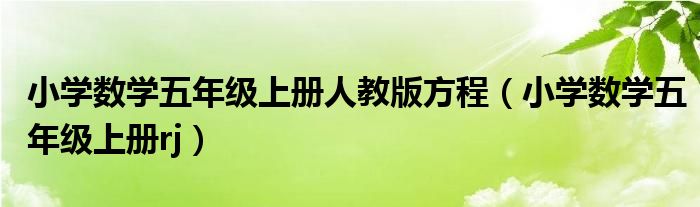 小学数学五年级上册人教版方程（小学数学五年级上册rj）