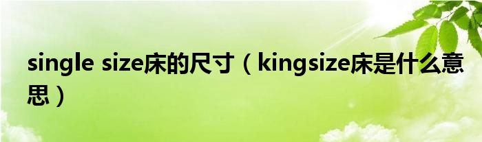 single size床的尺寸（kingsize床是什么意思）