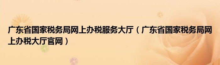 广东省国家税务局网上办税服务大厅（广东省国家税务局网上办税大厅官网）