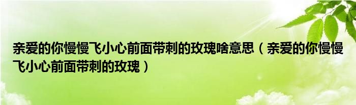 亲爱的你慢慢飞小心前面带刺的玫瑰啥意思（亲爱的你慢慢飞小心前面带刺的玫瑰）