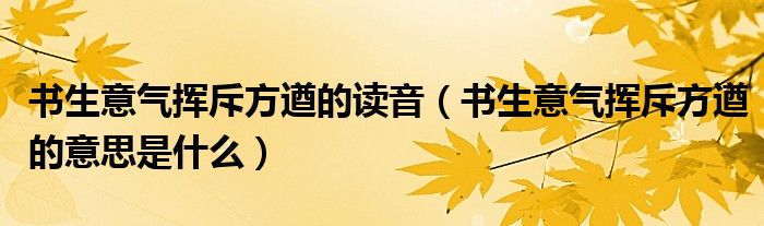 书生意气挥斥方遒的读音（书生意气挥斥方遒的意思是什么）