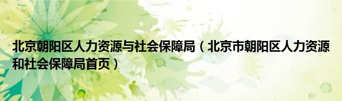 北京朝阳区人力资源与社会保障局（北京市朝阳区人力资源和社会保障局首页）