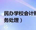 民办学校会计账务处理实例（民办学校会计账务处理）