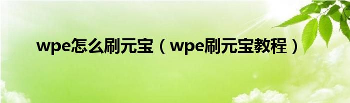 wpe怎么刷元宝（wpe刷元宝教程）