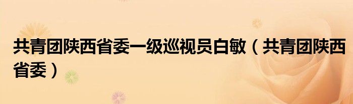 共青团陕西省委一级巡视员白敏（共青团陕西省委）