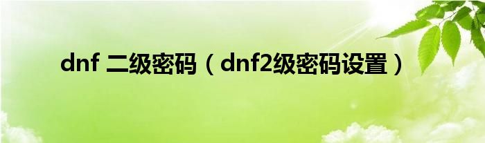 dnf 二级密码（dnf2级密码设置）