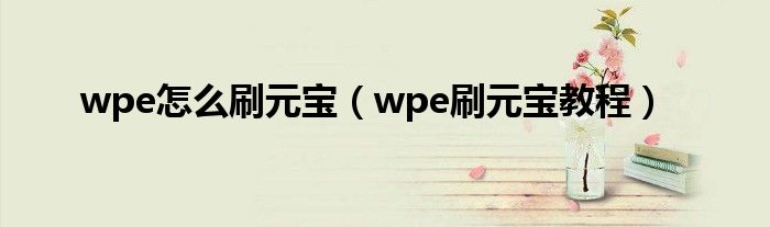 wpe怎么刷元宝（wpe刷元宝教程）