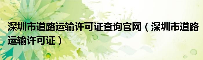 深圳市道路运输许可证查询官网（深圳市道路运输许可证）