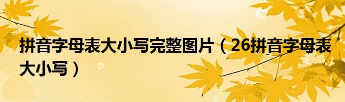 拼音字母表大小写完整图片（26拼音字母表大小写）