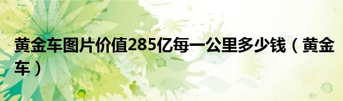 黄金车图片价值285亿每一公里多少钱（黄金车）