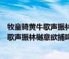 牧童骑黄牛歌声振林樾意欲捕呜蝉忽然闭口立（牧童骑黄牛歌声振林樾意欲捕鸣蝉忽然闭口立）