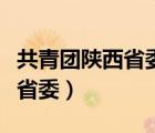 共青团陕西省委一级巡视员白敏（共青团陕西省委）