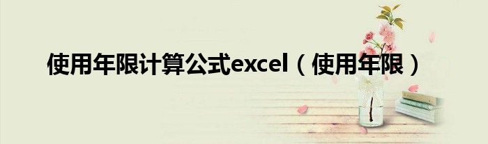 使用年限计算公式excel（使用年限）