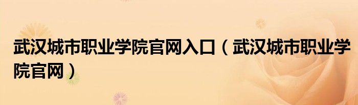 武汉城市职业学院官网入口（武汉城市职业学院官网）