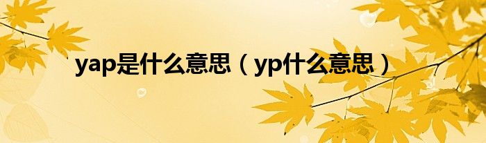 yap是什么意思（yp什么意思）