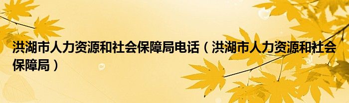 洪湖市人力资源和社会保障局电话（洪湖市人力资源和社会保障局）