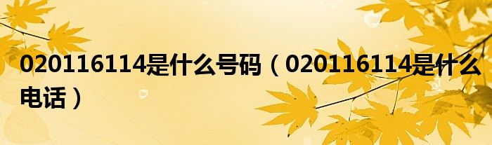 020116114是什么号码（020116114是什么电话）