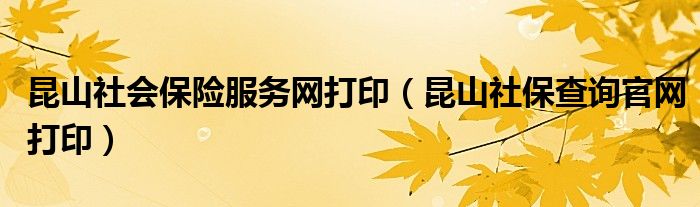 昆山社会保险服务网打印（昆山社保查询官网打印）