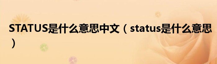 STATUS是什么意思中文（status是什么意思）