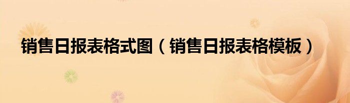 销售日报表格式图（销售日报表格模板）