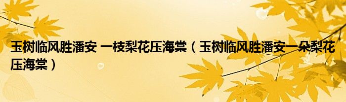 玉树临风胜潘安 一枝梨花压海棠（玉树临风胜潘安一朵梨花压海棠）