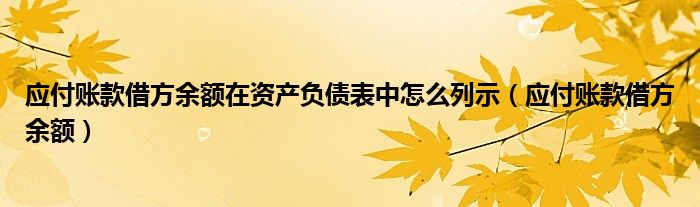 应付账款借方余额在资产负债表中怎么列示（应付账款借方余额）