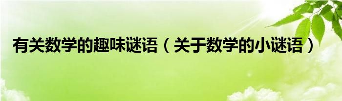 有关数学的趣味谜语（关于数学的小谜语）