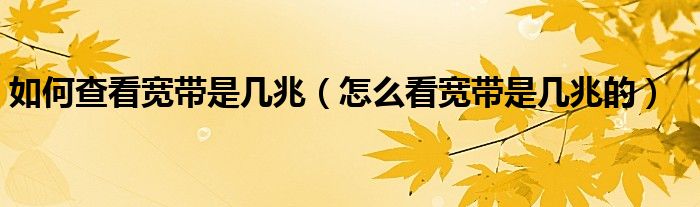 如何查看宽带是几兆（怎么看宽带是几兆的）