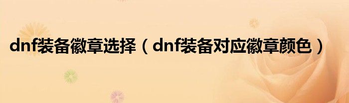 dnf装备徽章选择（dnf装备对应徽章颜色）