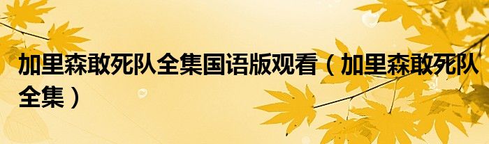 加里森敢死队全集国语版观看（加里森敢死队全集）