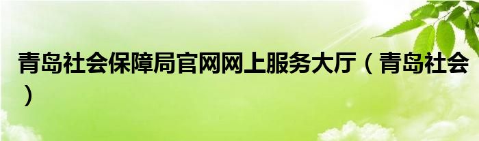 青岛社会保障局官网网上服务大厅（青岛社会）