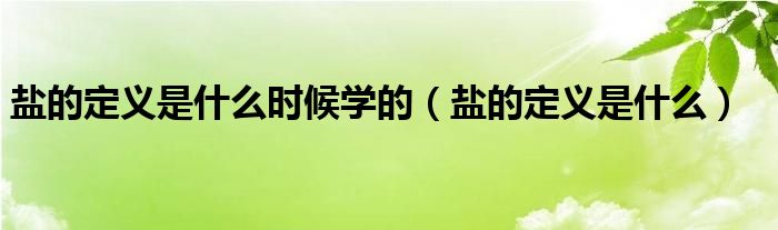 盐的定义是什么时候学的（盐的定义是什么）