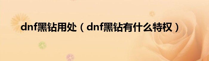 dnf黑钻用处（dnf黑钻有什么特权）