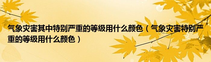 气象灾害其中特别严重的等级用什么颜色（气象灾害特别严重的等级用什么颜色）