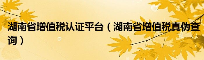 湖南省增值税认证平台（湖南省增值税真伪查询）