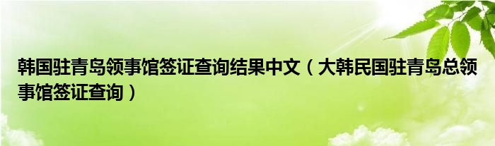 韩国驻青岛领事馆签证查询结果中文（大韩民国驻青岛总领事馆签证查询）