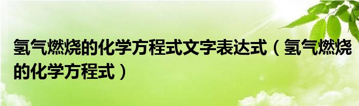 氢气燃烧的化学方程式文字表达式（氢气燃烧的化学方程式）