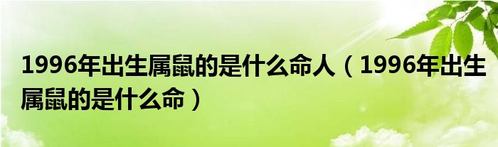 1996年出生属鼠的是什么命人（1996年出生属鼠的是什么命）