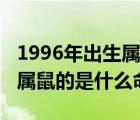 1996年出生属鼠的是什么命人（1996年出生属鼠的是什么命）