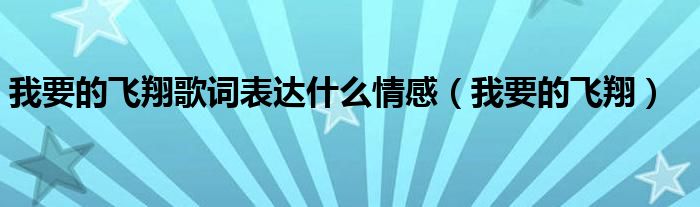 我要的飞翔歌词表达什么情感（我要的飞翔）