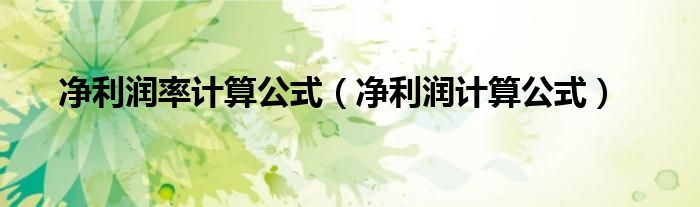 净利润率计算公式（净利润计算公式）