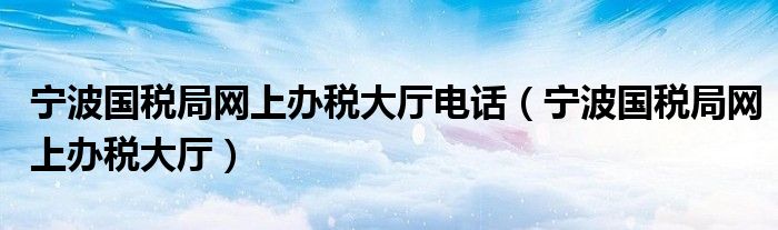 宁波国税局网上办税大厅电话（宁波国税局网上办税大厅）