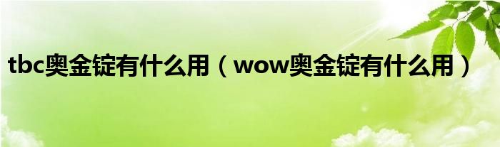 tbc奥金锭有什么用（wow奥金锭有什么用）