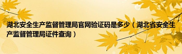 湖北安全生产监督管理局官网验证码是多少（湖北省安全生产监督管理局证件查询）