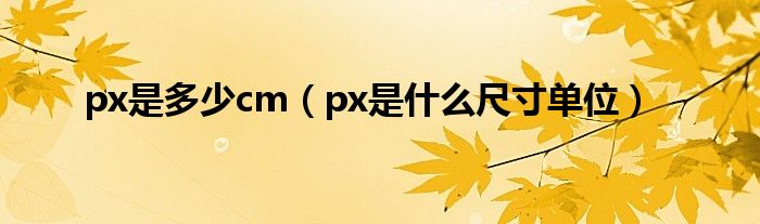 px是多少cm（px是什么尺寸单位）